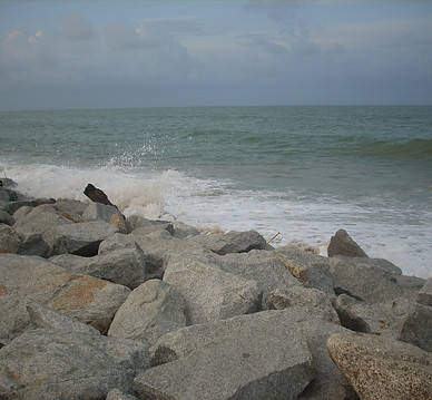 Shoreline Protection